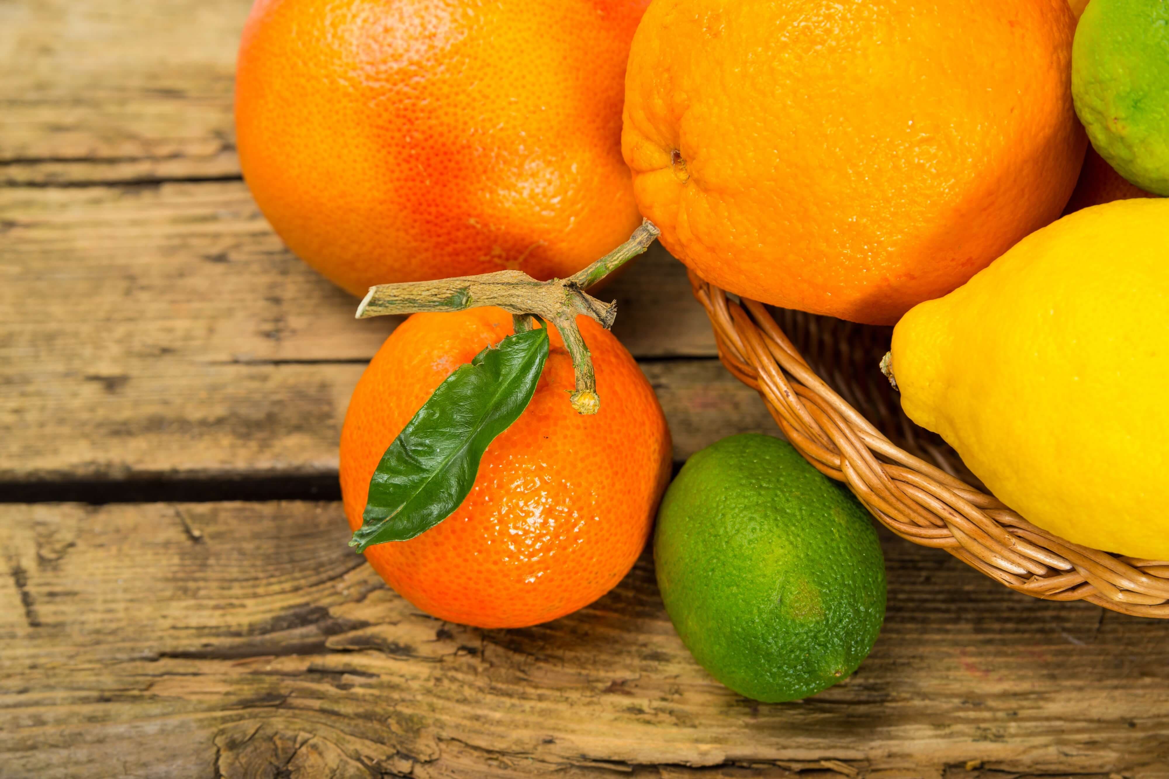 柑橘類のイメージ